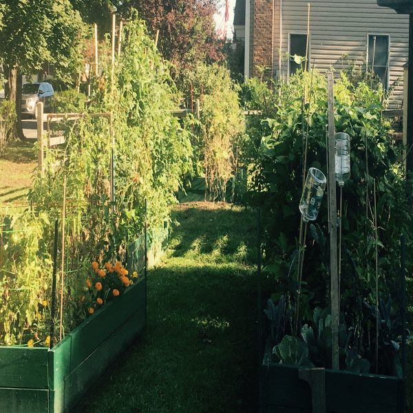 9.9.17_Maintenance_Day_Pic_3