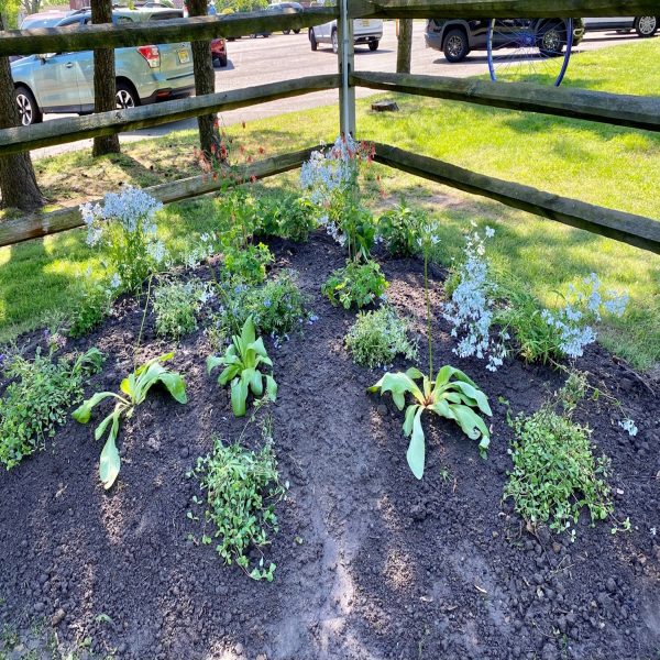 Completed_Shady_Pollinator_Garden(1)