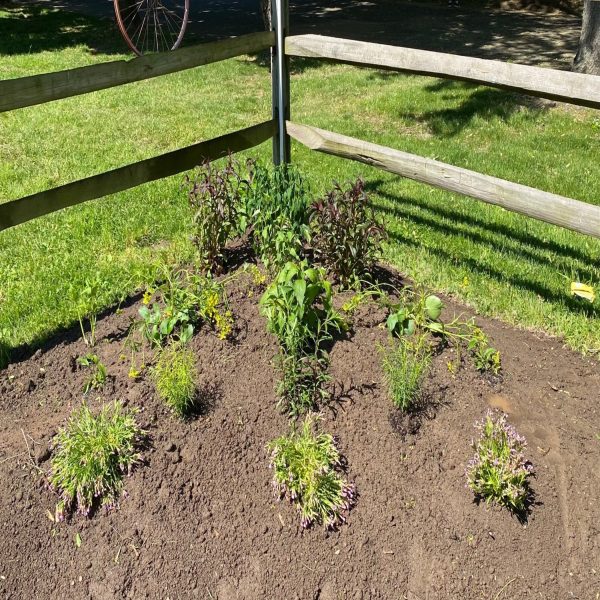 Completed_Sunny_Pollinator_Garden(1)