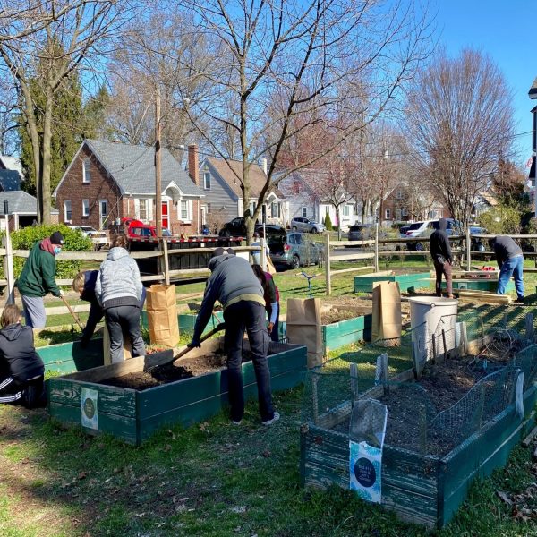 Garden_Beds_Getting_Cleaned_Out
