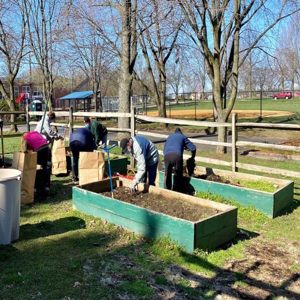 Garden_Beds_Getting_Cleaned_Out_2
