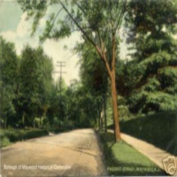 Passaic_Street_Circa_1911